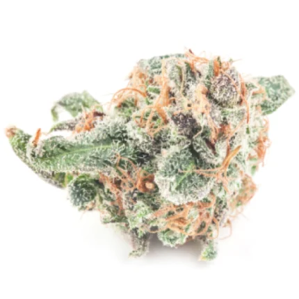 Columbian Gold Sativa Weed Strain