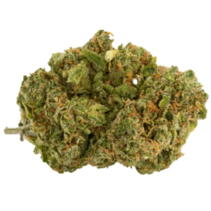 Hawaiian snow Sativa Weed Strain
