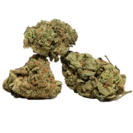 Pine tar Kush Weed Strain