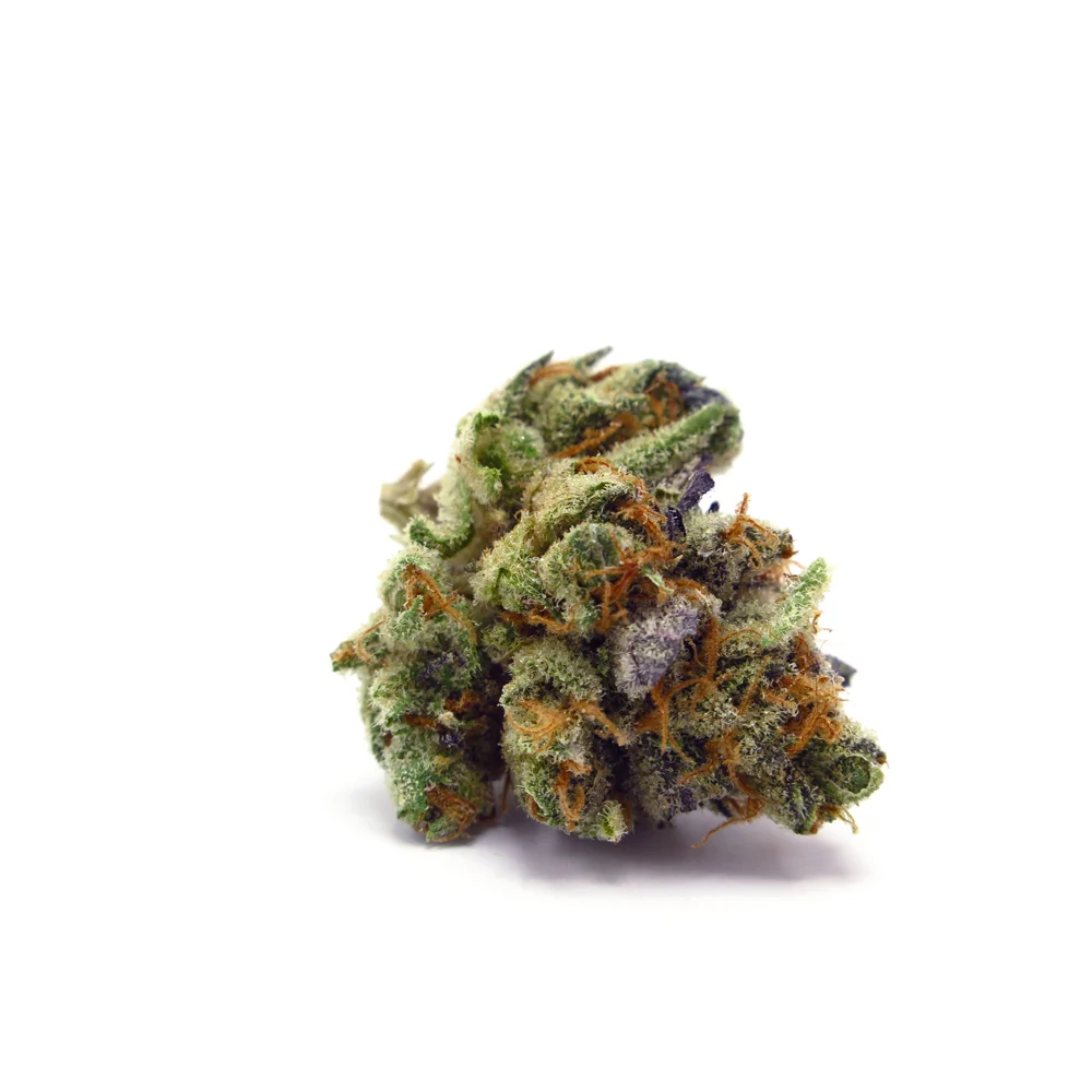 Purple-Trainwreck-Marijuana-Strain.webp