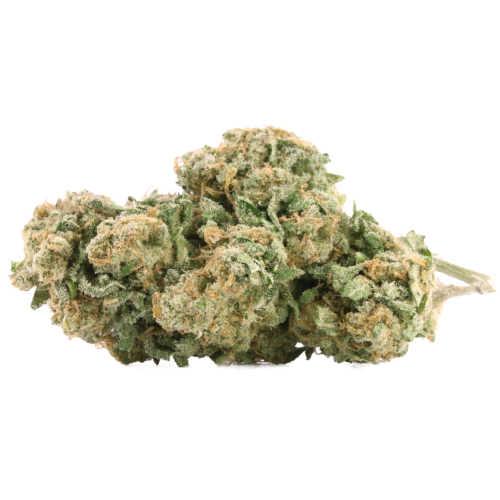 Shiva-Skunk-Cannabis-Strain.webp