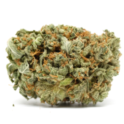 Super-Sour-Diesel-Marijuana-Strain.webp