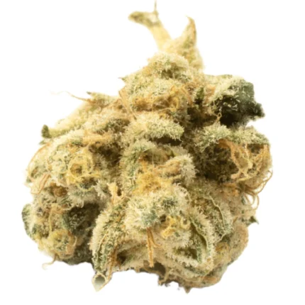 Zurcules Weed Strain